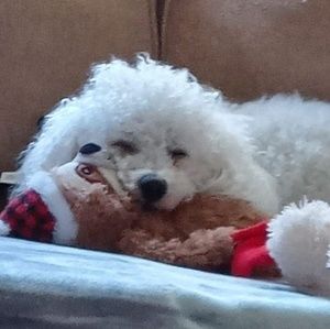 Meet your Posher, Sue